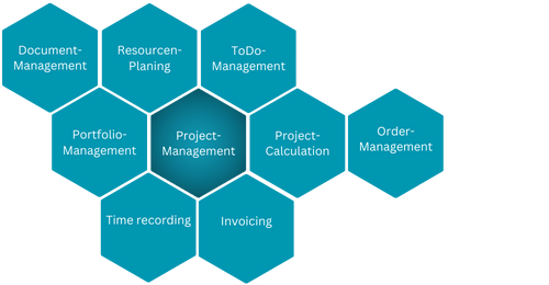 a diagram of a project management